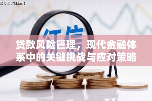 理县贷款风险管理，现代金融体系中的关键挑战与应对策略