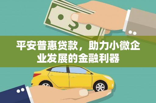 理县平安普惠贷款，助力小微企业发展的金融利器