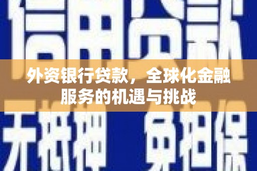 理县外资银行贷款，全球化金融服务的机遇与挑战