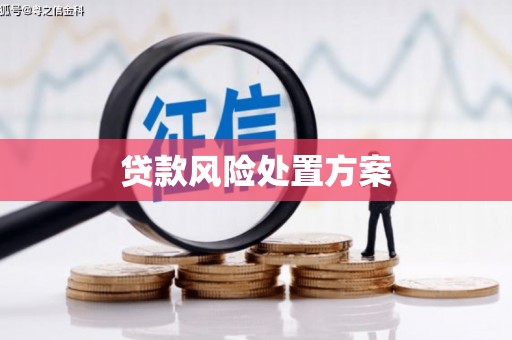 理县贷款风险处置方案