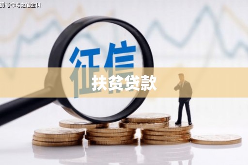 理县扶贫贷款