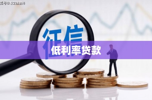 理县低利率贷款