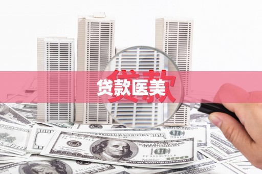理县贷款医美