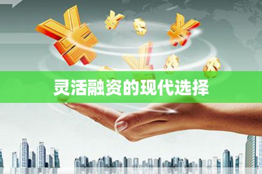 理县灵活融资的现代选择