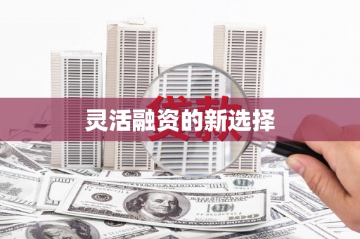 理县灵活融资的新选择