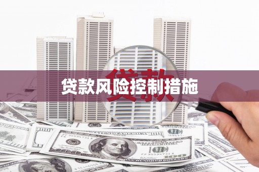 理县贷款风险控制措施