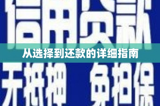 理县从选择到还款的详细指南
