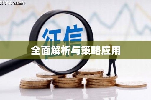 理县全面解析与策略应用