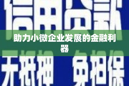 理县助力小微企业发展的金融利器