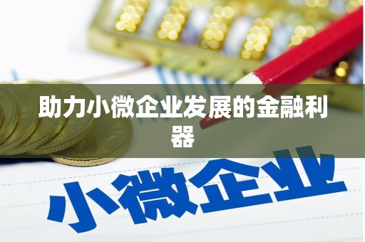 理县助力小微企业发展的金融利器