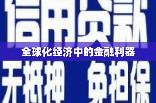 理县全球化经济中的金融利器