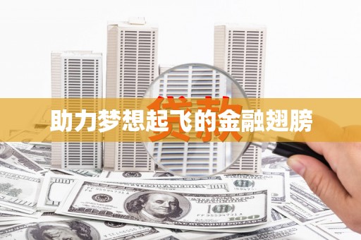 理县助力梦想起飞的金融翅膀