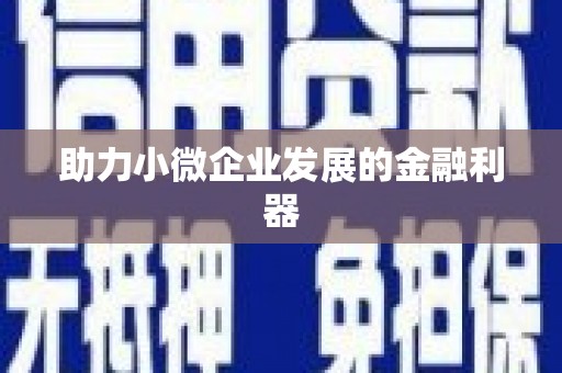 理县助力小微企业发展的金融利器