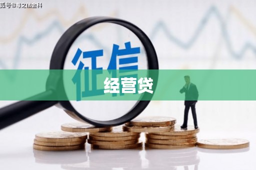 理县经营贷