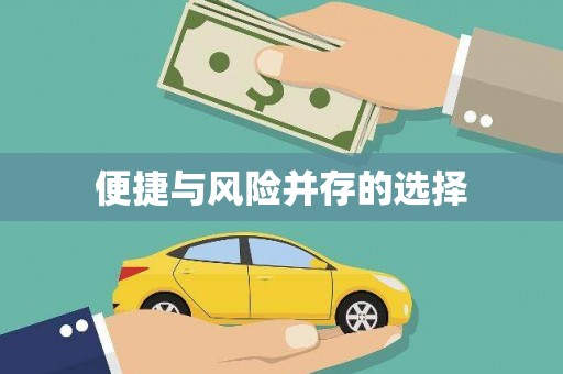 理县便捷与风险并存的选择