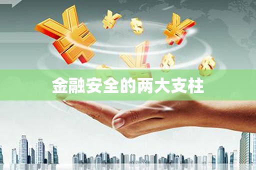 理县金融安全的两大支柱