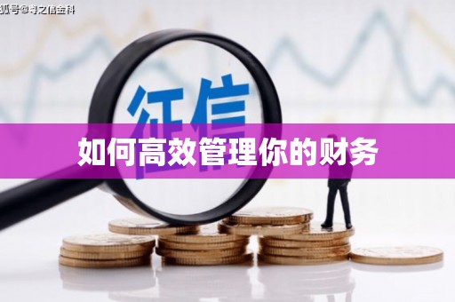 理县如何高效管理你的财务