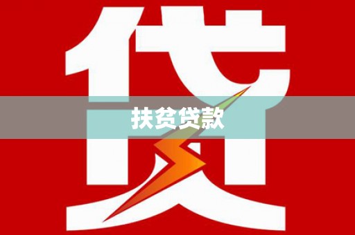 理县扶贫贷款