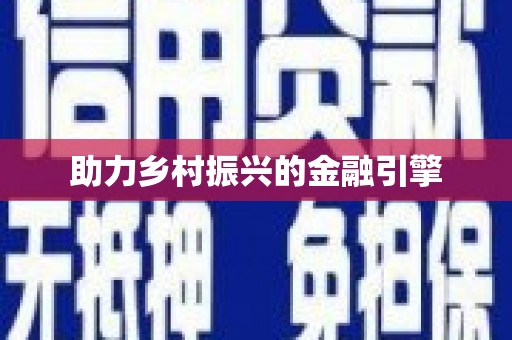 理县助力乡村振兴的金融引擎