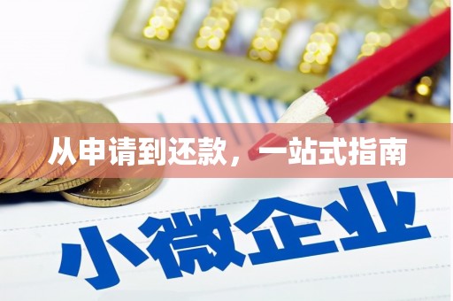 理县从申请到还款，一站式指南