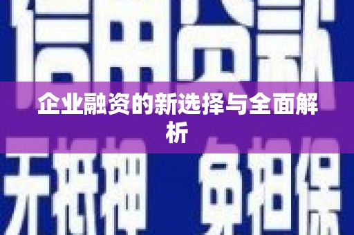 理县企业融资的新选择与全面解析