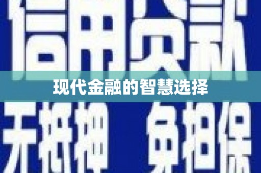 理县现代金融的智慧选择