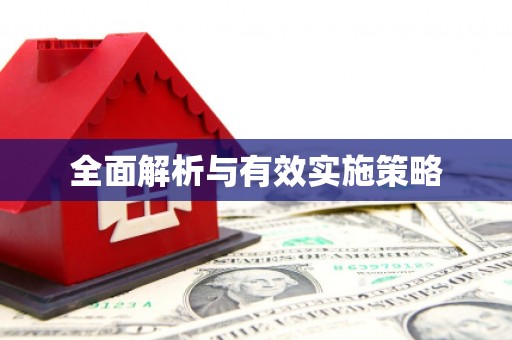 理县全面解析与有效实施策略