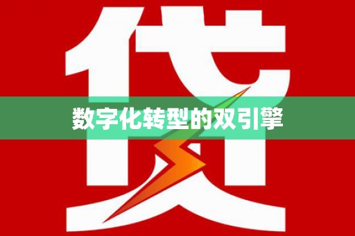 理县数字化转型的双引擎