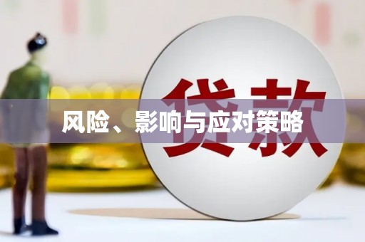 理县风险、影响与应对策略