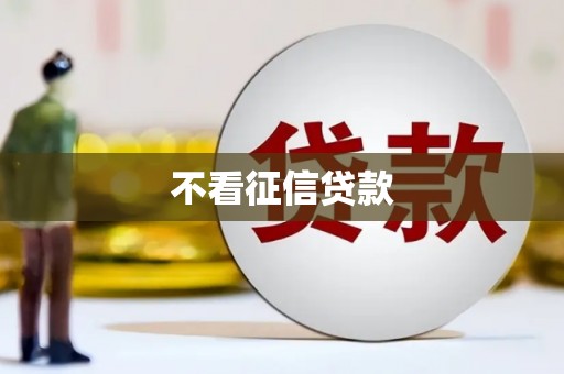 理县不看征信贷款