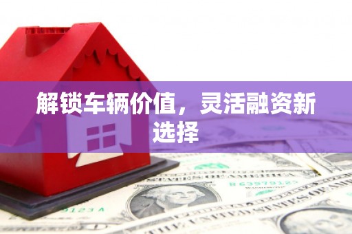理县解锁车辆价值，灵活融资新选择