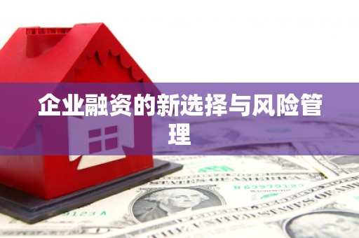 理县企业融资的新选择与风险管理