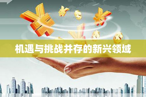 理县机遇与挑战并存的新兴领域