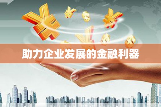 理县助力企业发展的金融利器