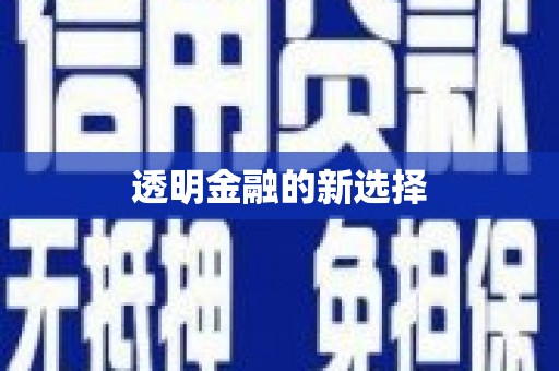 理县透明金融的新选择