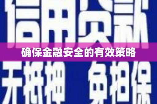 理县确保金融安全的有效策略
