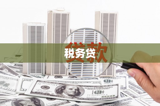 理县税务贷