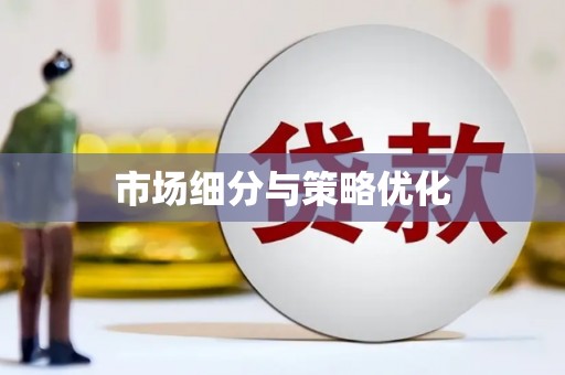 理县市场细分与策略优化