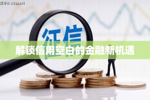 理县解锁信用空白的金融新机遇