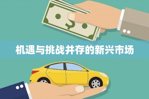 理县机遇与挑战并存的新兴市场