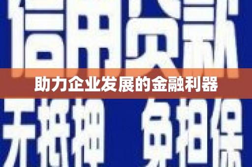 理县助力企业发展的金融利器