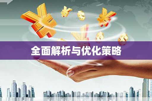 理县全面解析与优化策略