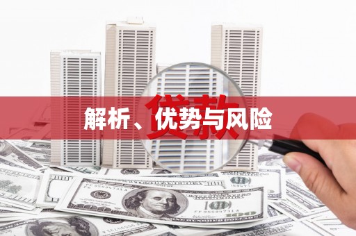 理县解析、优势与风险
