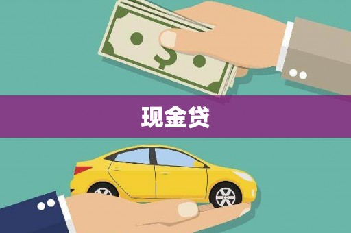 理县现金贷