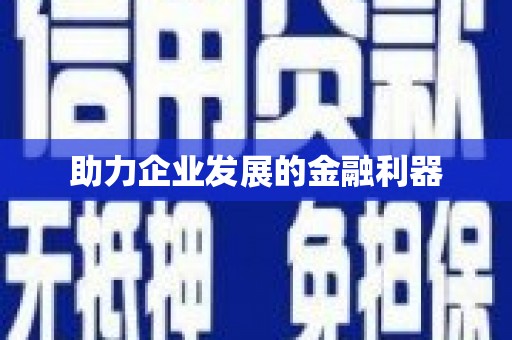 理县助力企业发展的金融利器