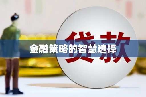 理县金融策略的智慧选择