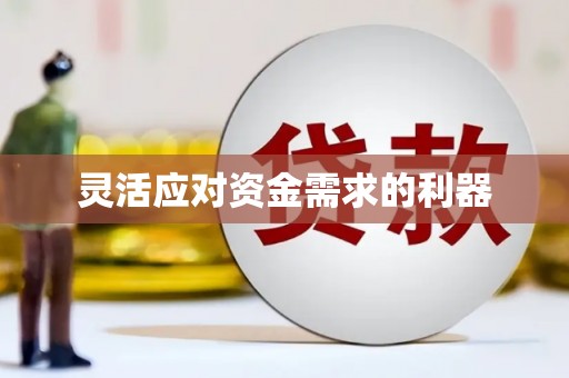 理县灵活应对资金需求的利器