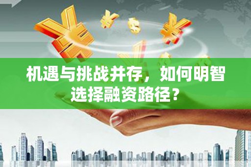 理县机遇与挑战并存，如何明智选择融资路径？