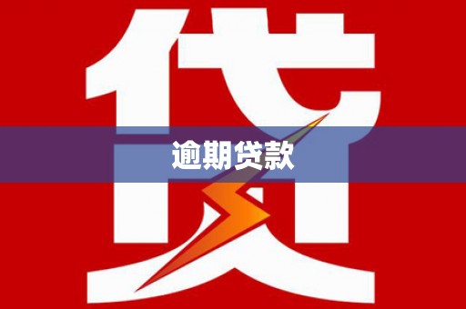 理县逾期贷款
