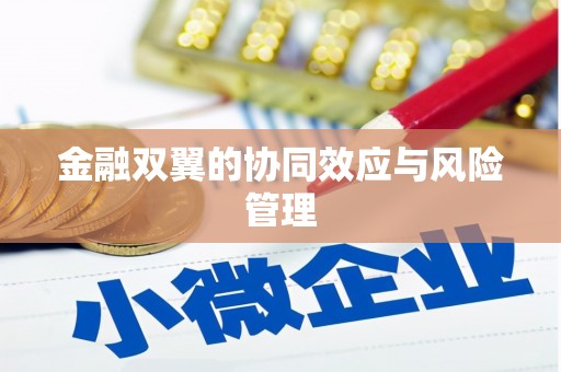 理县金融双翼的协同效应与风险管理